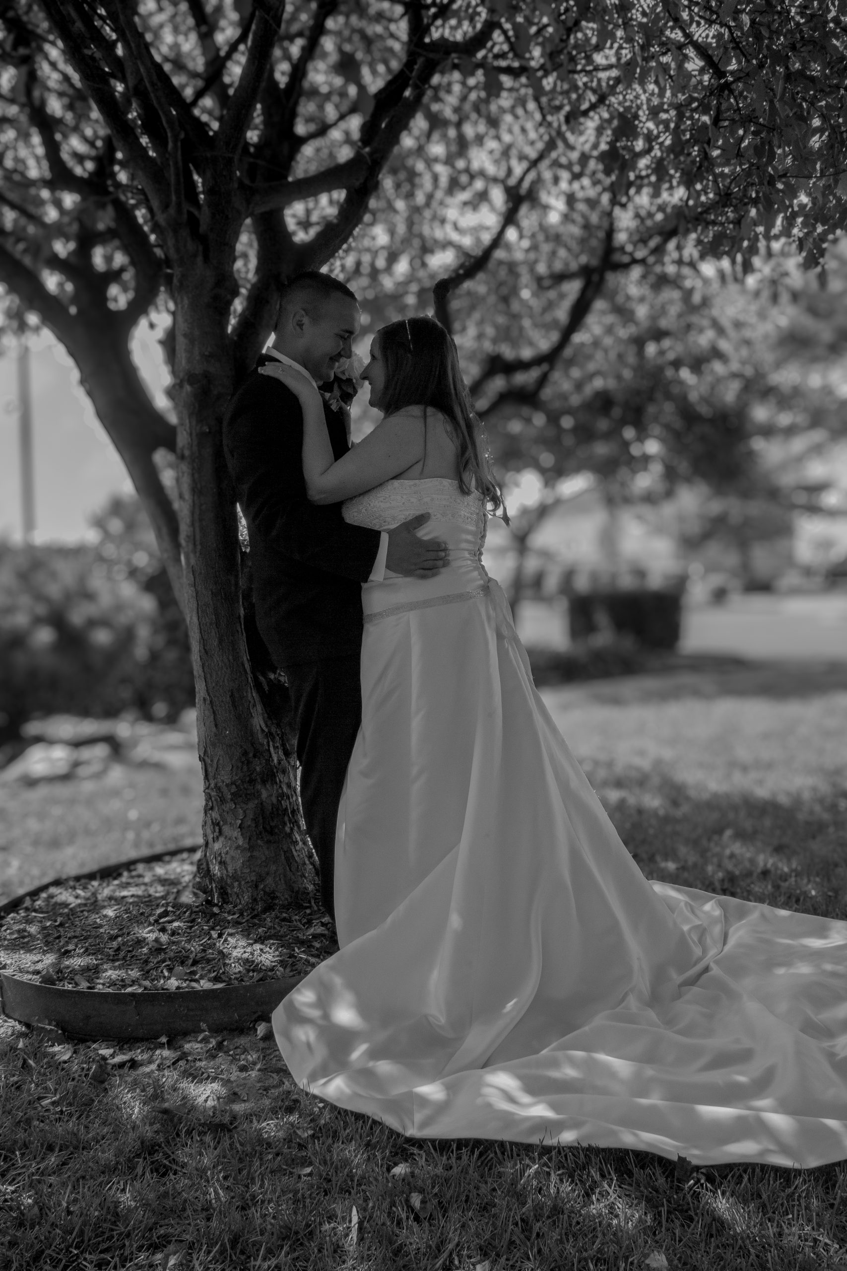 moody bride and groom under a tree portrait